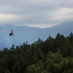 Bretton Woods Canopy Tour
