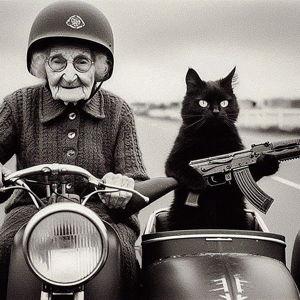 Cat Sitter For Our Honeymoon
