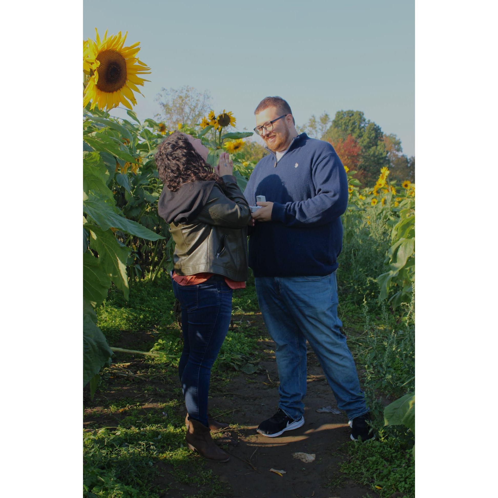 Taken at Outhouse Orchards North Salem, NY
Photos by Heather Temple