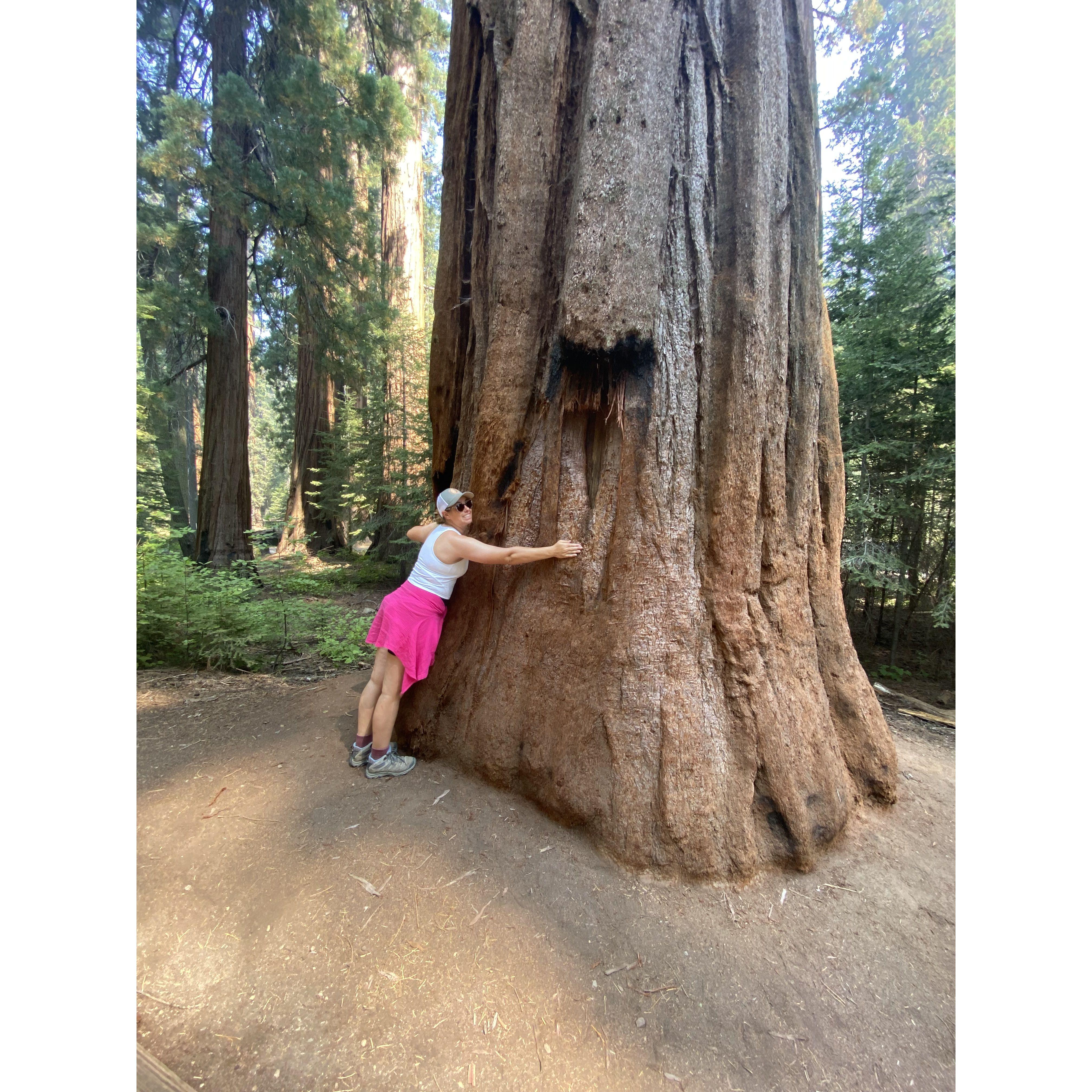 Alexa's a tree hugger