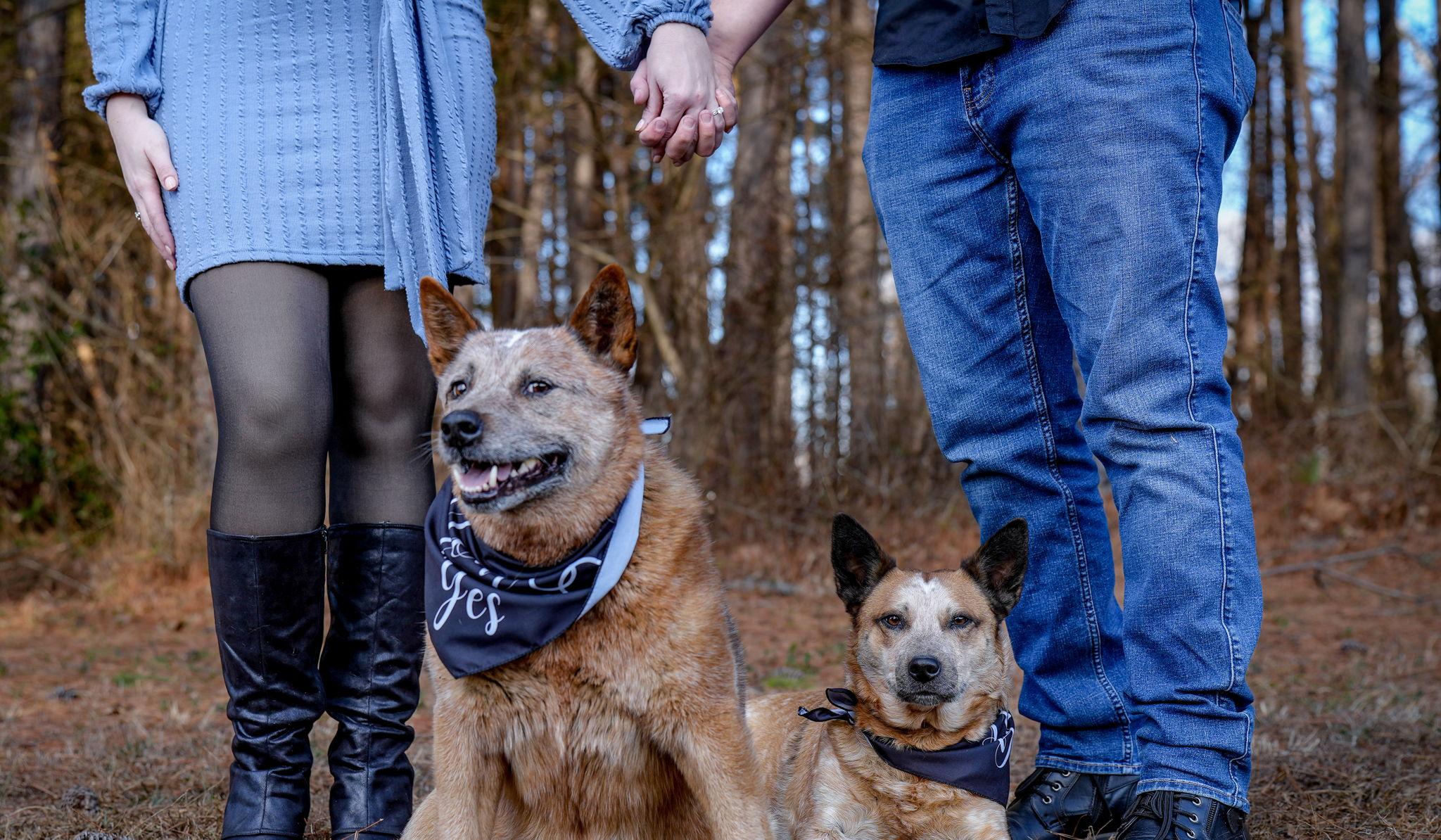 Hero Slideshow Image 2