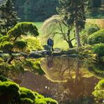 The Bloedel Reserve