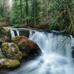 Whatcom Falls Park