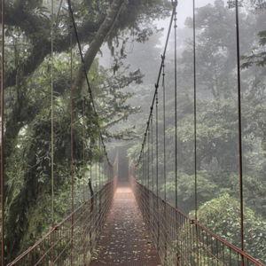 Honeymoon - 3 nights in Monteverde, CR