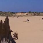 Silver Lake Sand Dunes