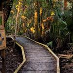 Hontoon Island State Park