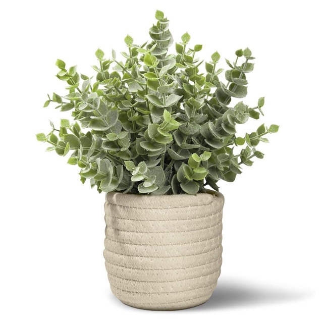 Hopewood Faux Plants, Fake Plants Eucalyptus Potted for Home Office Desk, Artificial Eucalyptus with a Weave Basket for Indoor Greenery Tabletop