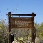 Arizona-Sonora Desert Museum