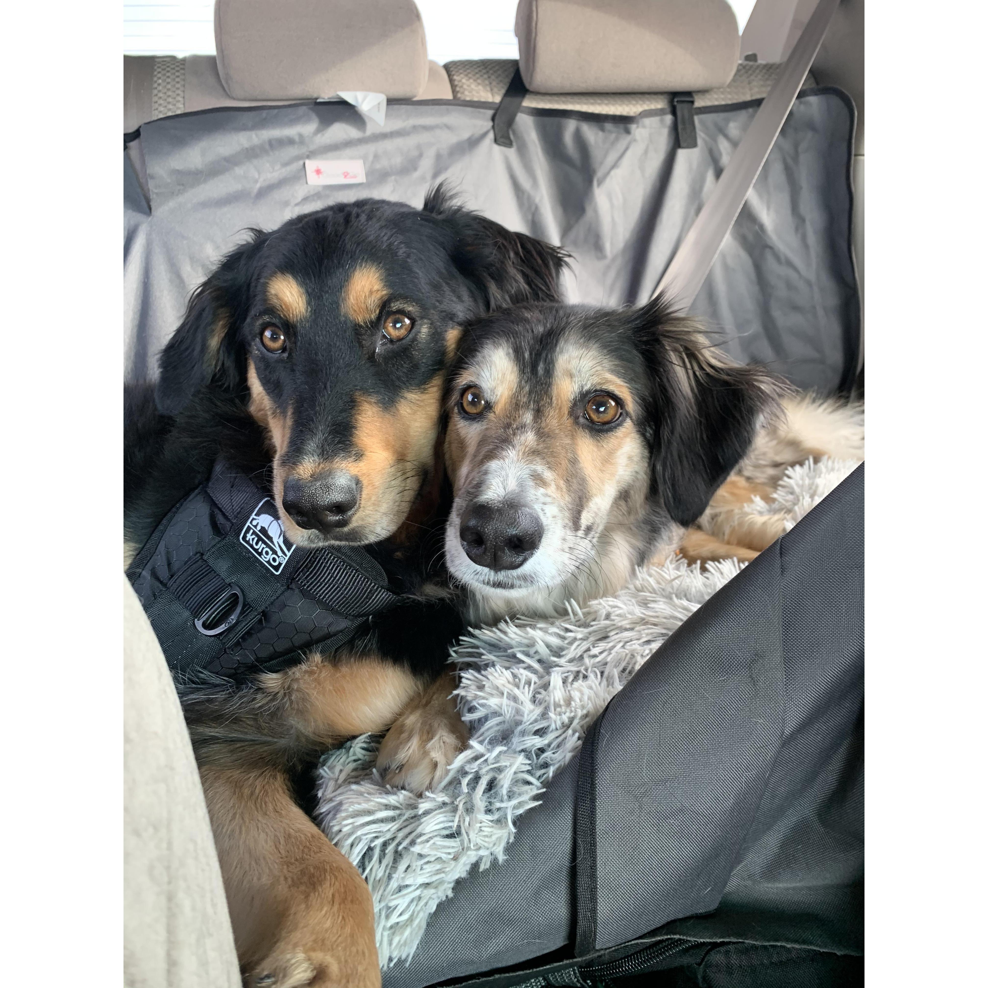 Our two favorite adventure pals!