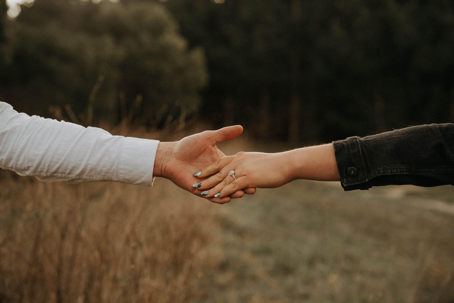 The Wedding Website of Hayley Wakefield and Laurie Persello