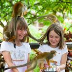 Monkeyland