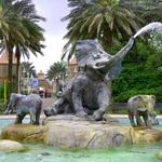 Audobon Zoo