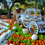 The Dallas Arboretum and Botanical Garden