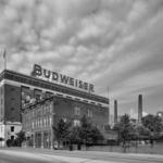 Budweiser Brewery Experience