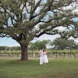 Becker Vineyards
