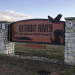Detroit River International Wildlife Refuge