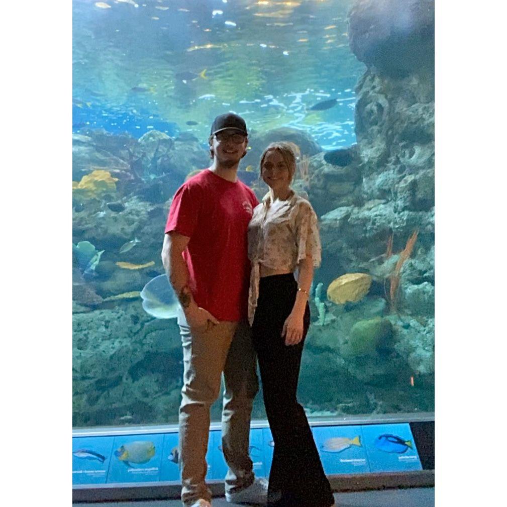 Aquarium of the Pacific