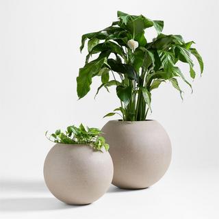 Sphere Planter