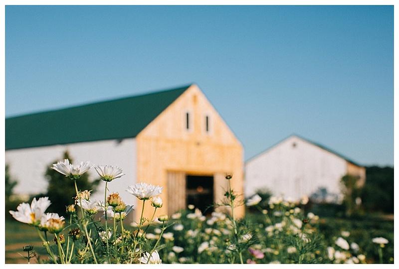 The Wedding Website of Rich Mendez and Kate Peterson