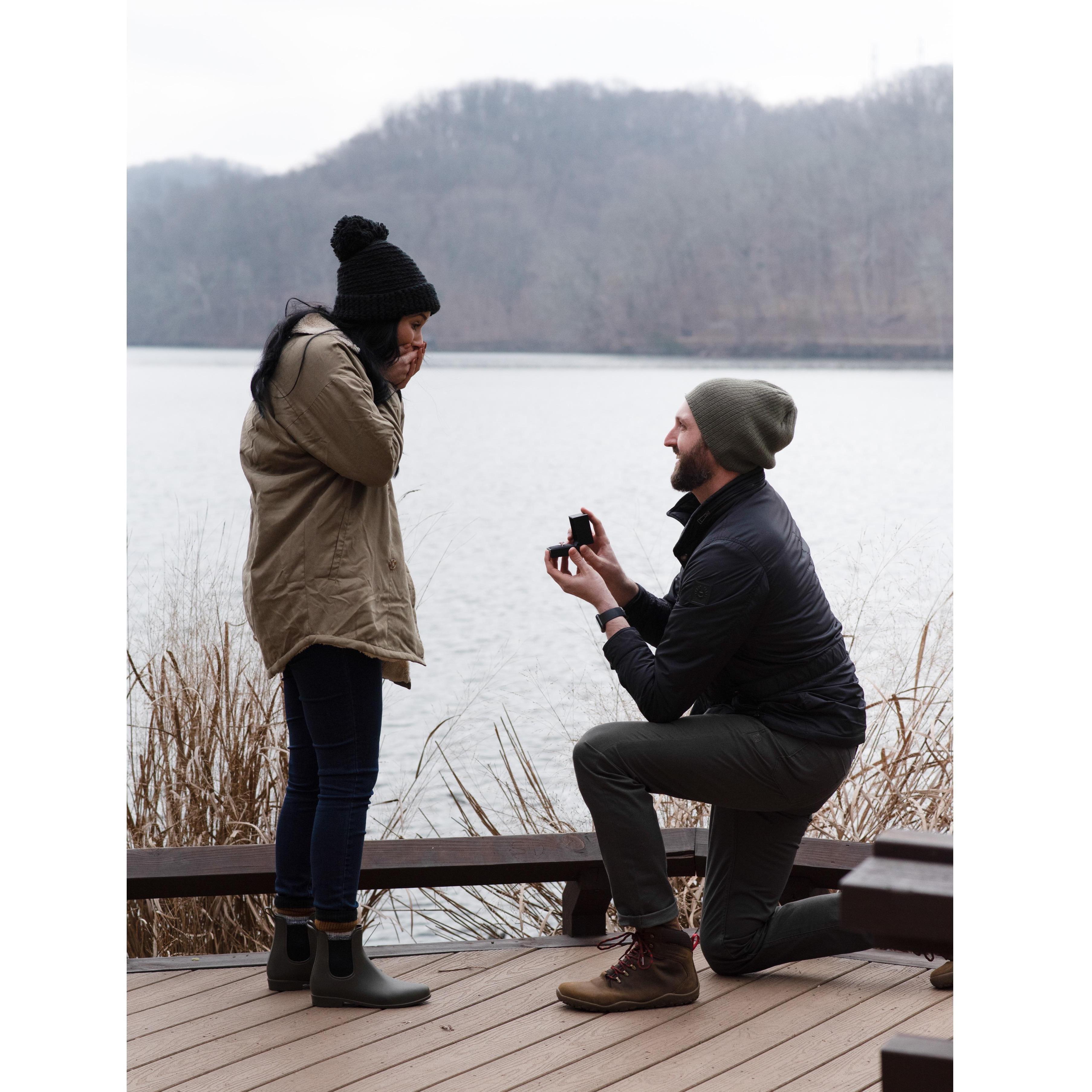 Surprise!
December 15 2019
