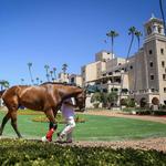 Del Mar Racing