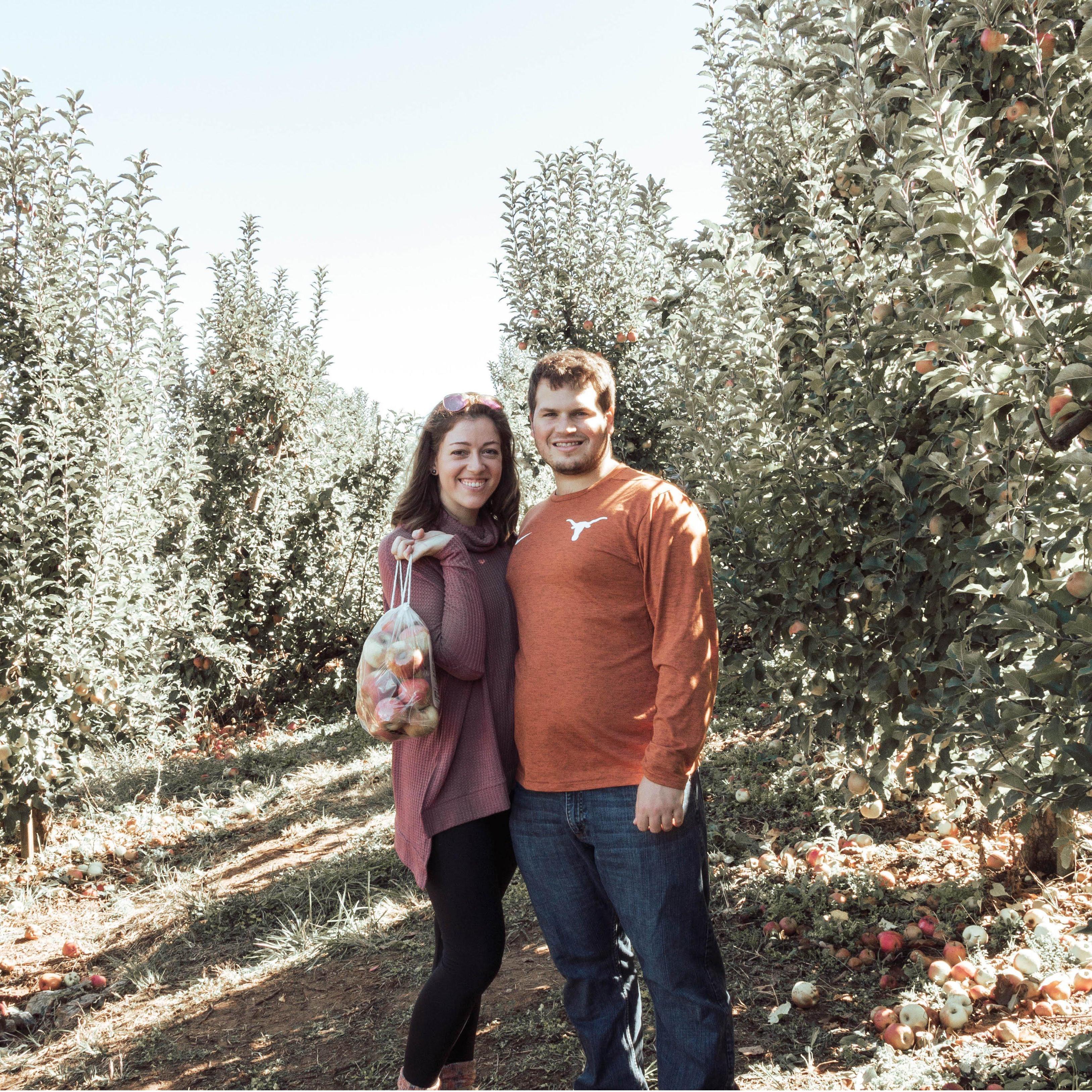 Apple picking in Blue Ridge, GA