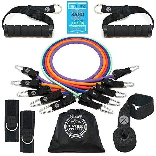 Tribe Resistance Bands Set, Exercise Bands for Working Out - Includes Stackable Workout Bands, Handles, Ankle Straps, Door Anchor, Carry Bag & Advanced eBook