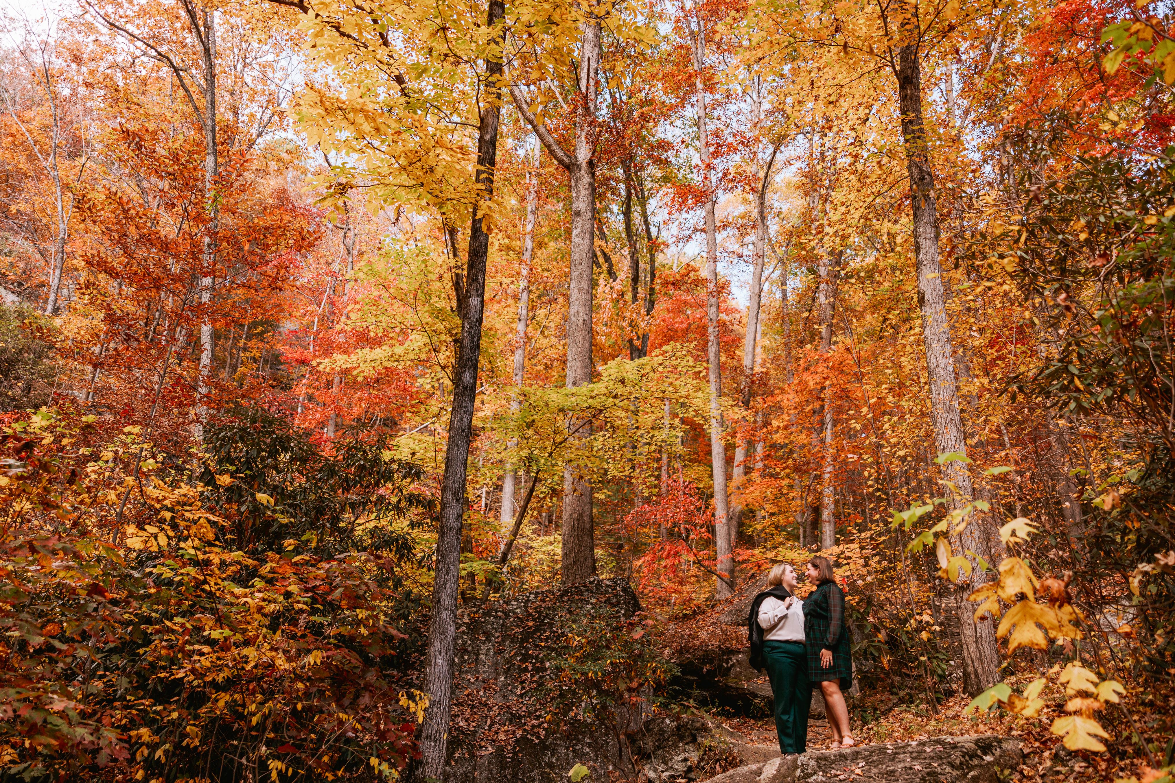 The Wedding Website of Elise Heil and Samantha Stephenson