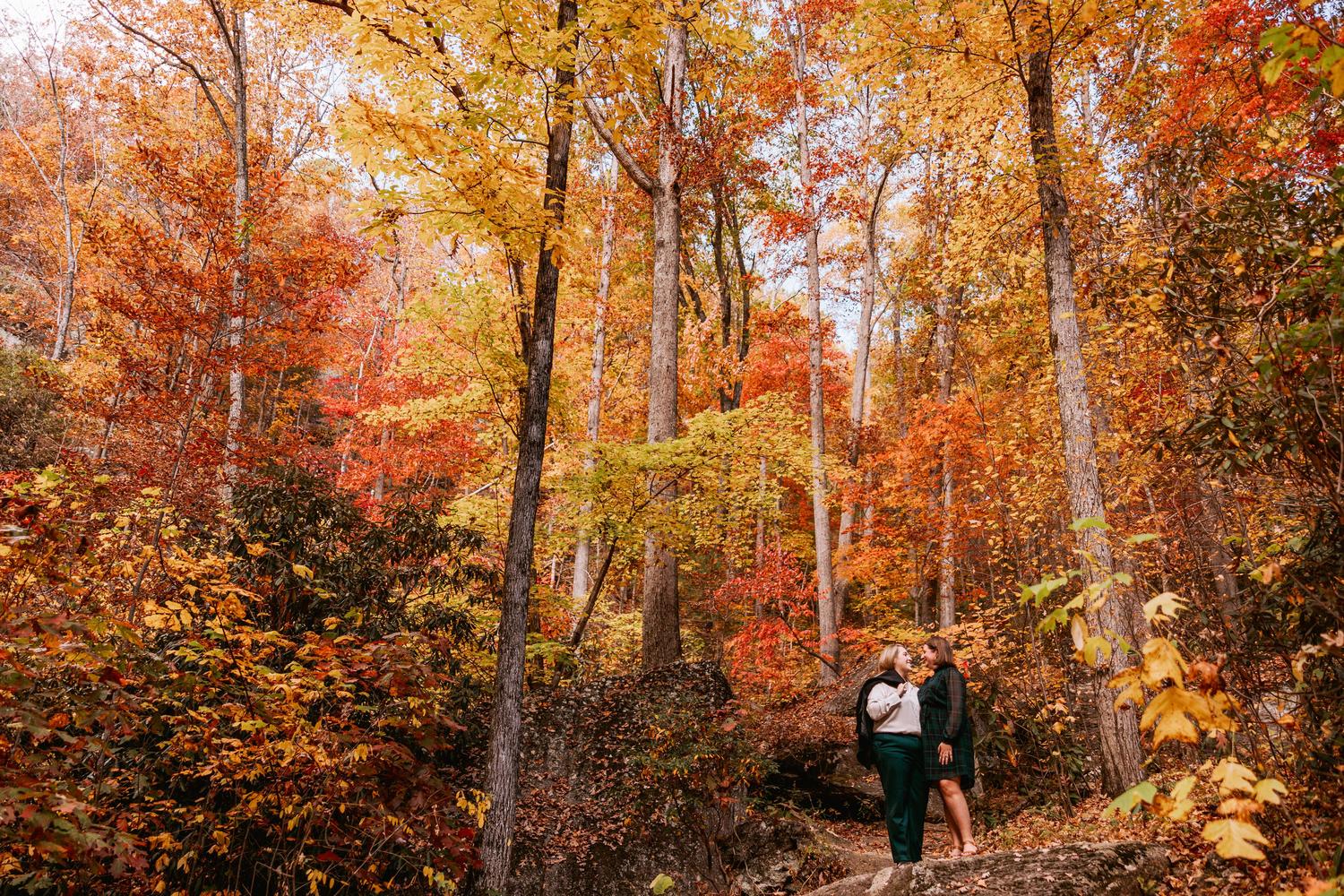 The Wedding Website of Elise Heil and Samantha Stephenson