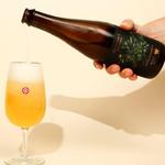 Hacienda Beer Co. North Ave Taproom