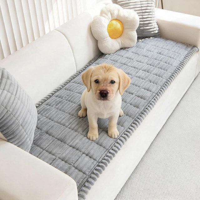 Mivnue Pet Couch Cover, Couch Covers for Dogs, Washable Dog Sofa Covers Couch Protector, Fuzzy Non Slip Couch Slipcover Pet Friendly (Light Grey, 27.6" x 82.7")