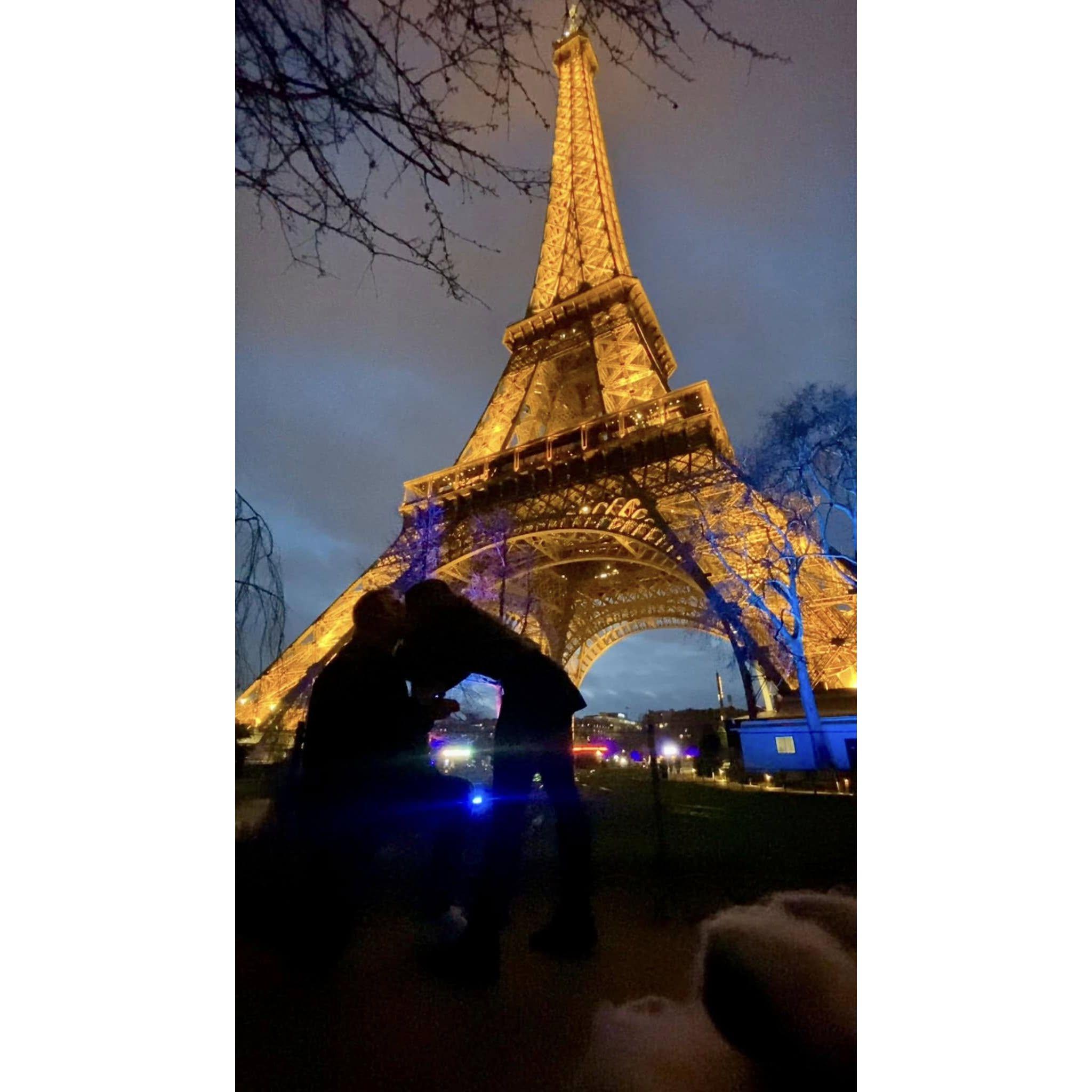 The Proposal in Paris, France