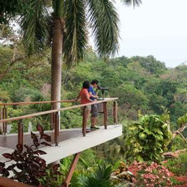Manuel Antonio – Jungle Meets the Ocean Hotel
