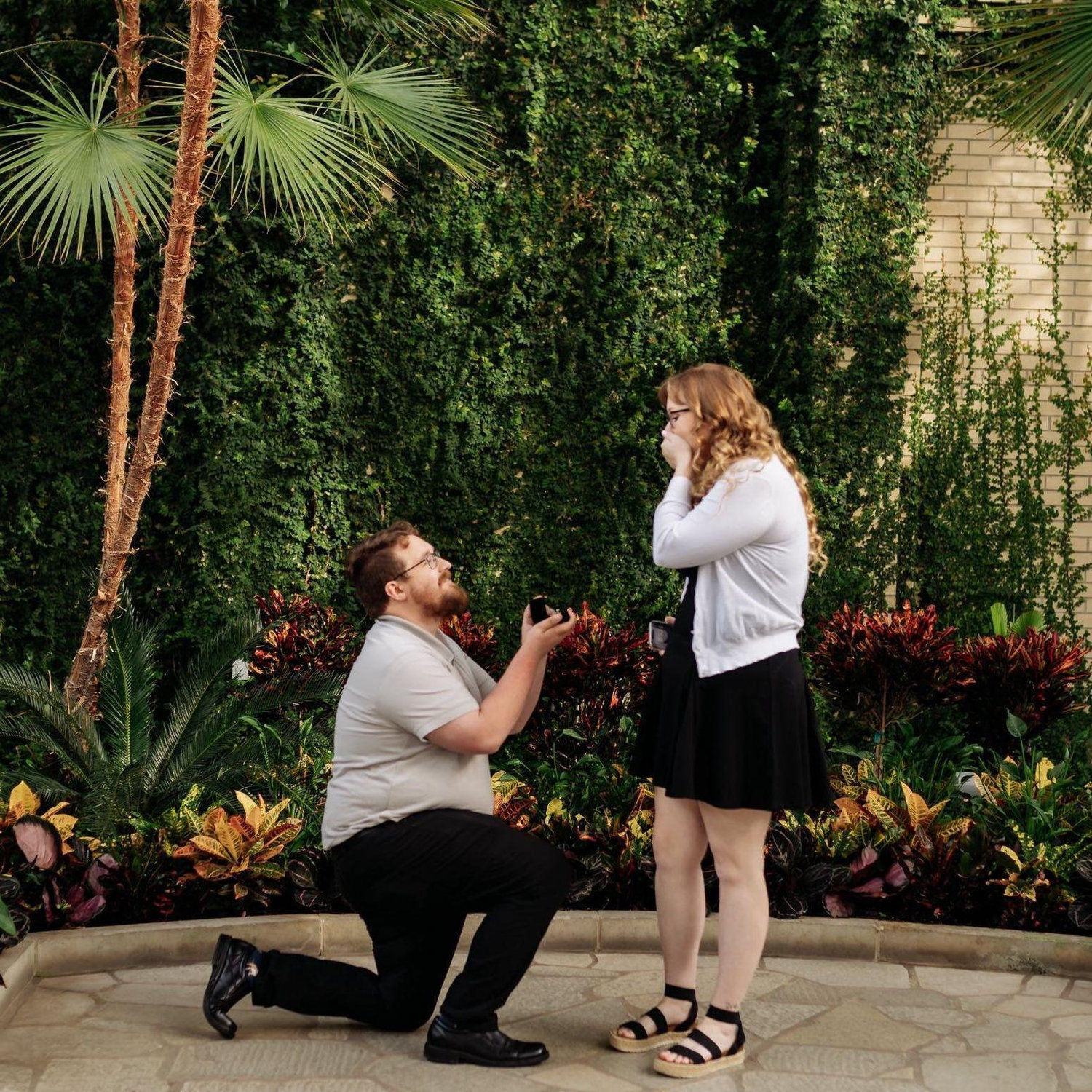 Proposal