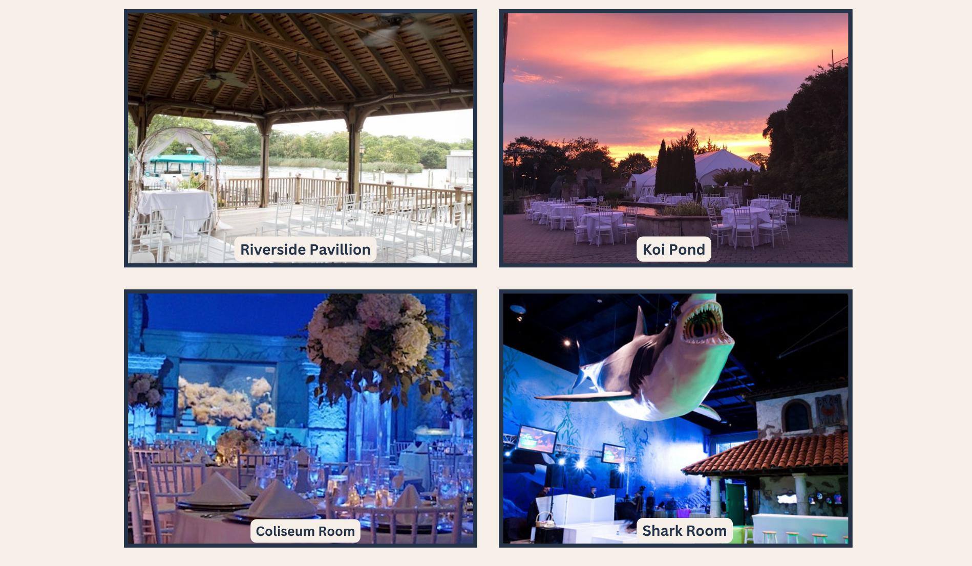 The Wedding Website of Ericka Bolte and Eric McGuinness