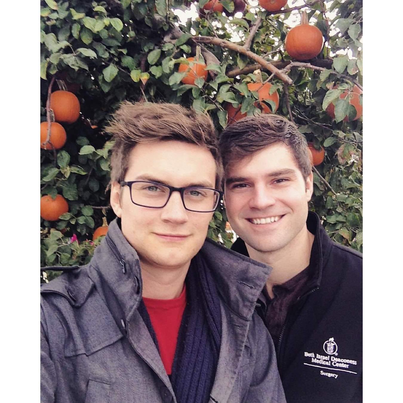 The year we found out pumpkin trees are not a real thing 2015