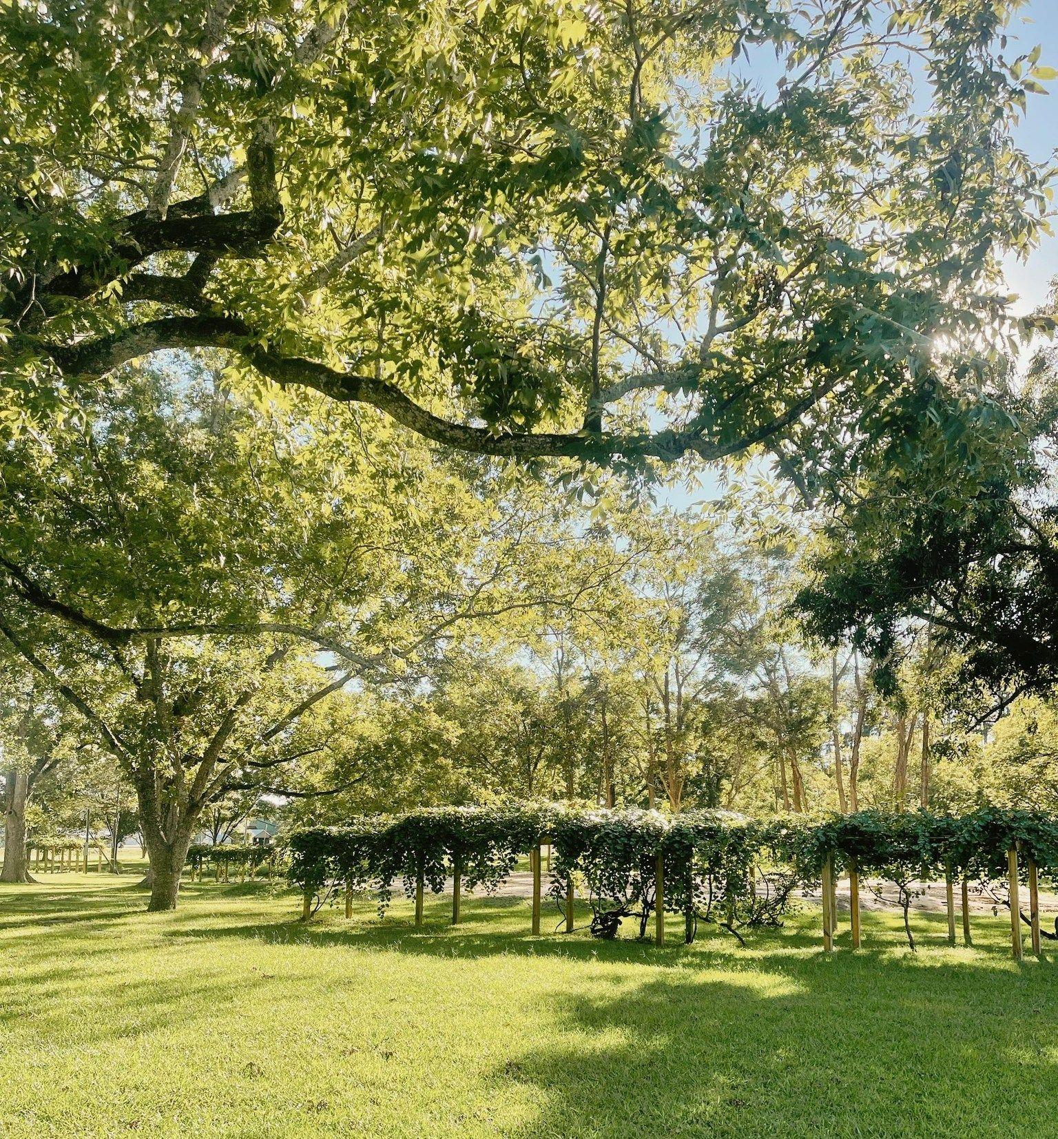 The Wedding Website of Charles Gryb and Katie Ormond