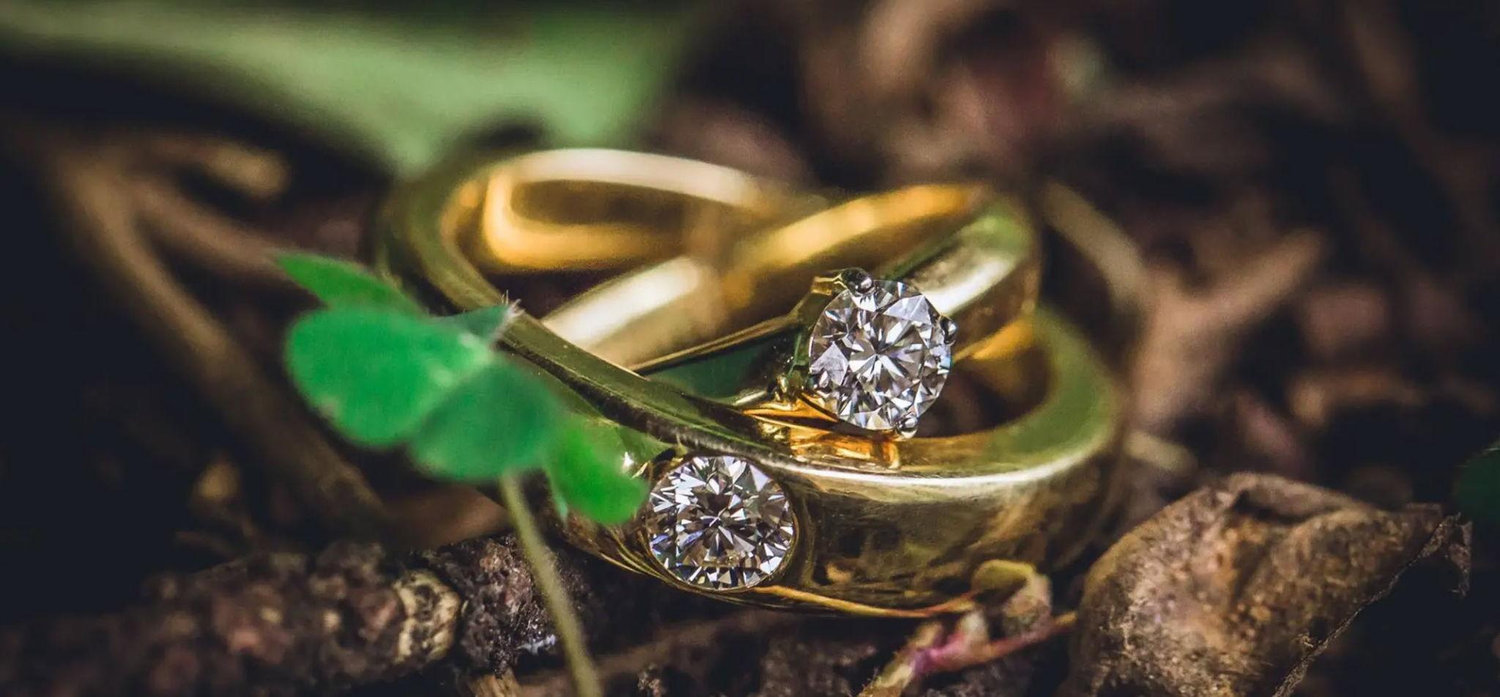 The Wedding Website of Anshika Dhawan and Pankaj Bhardwaj