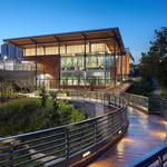 New Belgium Brewing Company