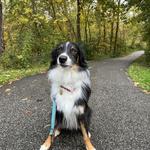 Cleveland Metroparks