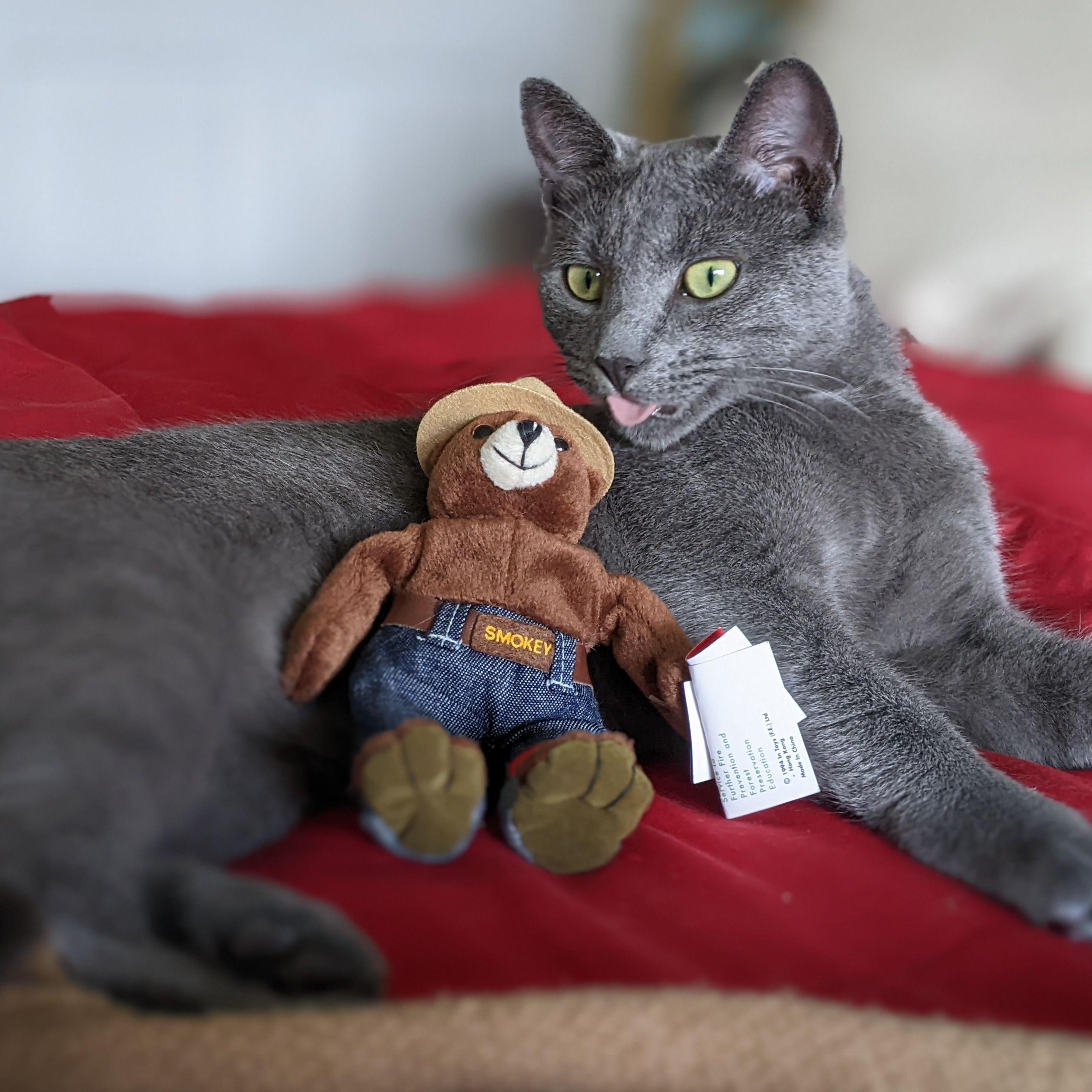 Smokey violates his name sake, 2022