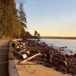 Stanley Park Seawall Path
