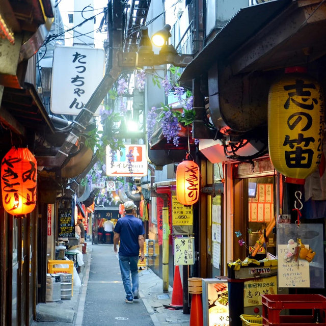 Japan Food Tour