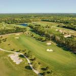 Vineyard National at Renault