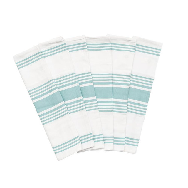 Aqua Stripes Cotton Kitchen Towels - 100% Cotton, 6 Pack, 30"x20", Absorbent, Lightweight, Lint-Free, Washable, Reusable and Quick-Dry Dish Towels with Hanging Loop (Aqua)