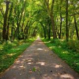 Raccoon River Park