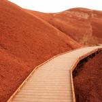 The Painted Hills