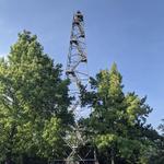 Razorback Tower: Get a Bird's Eye View of God's Country