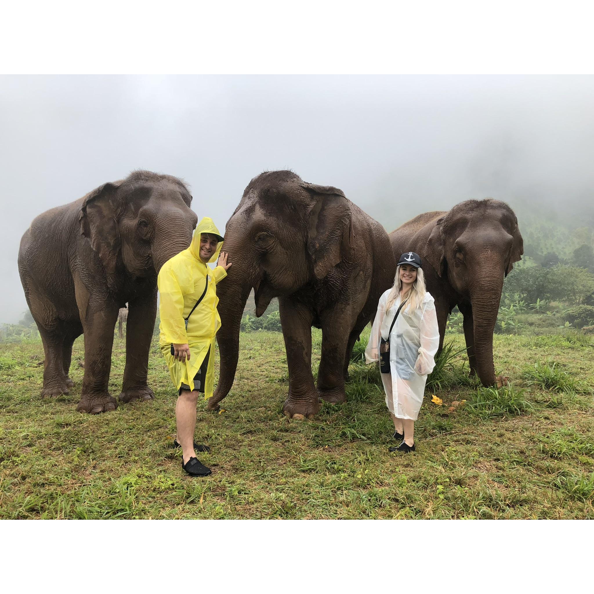 Spent the day with rescue elephants in Thailand