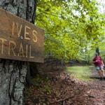 Ives Trail